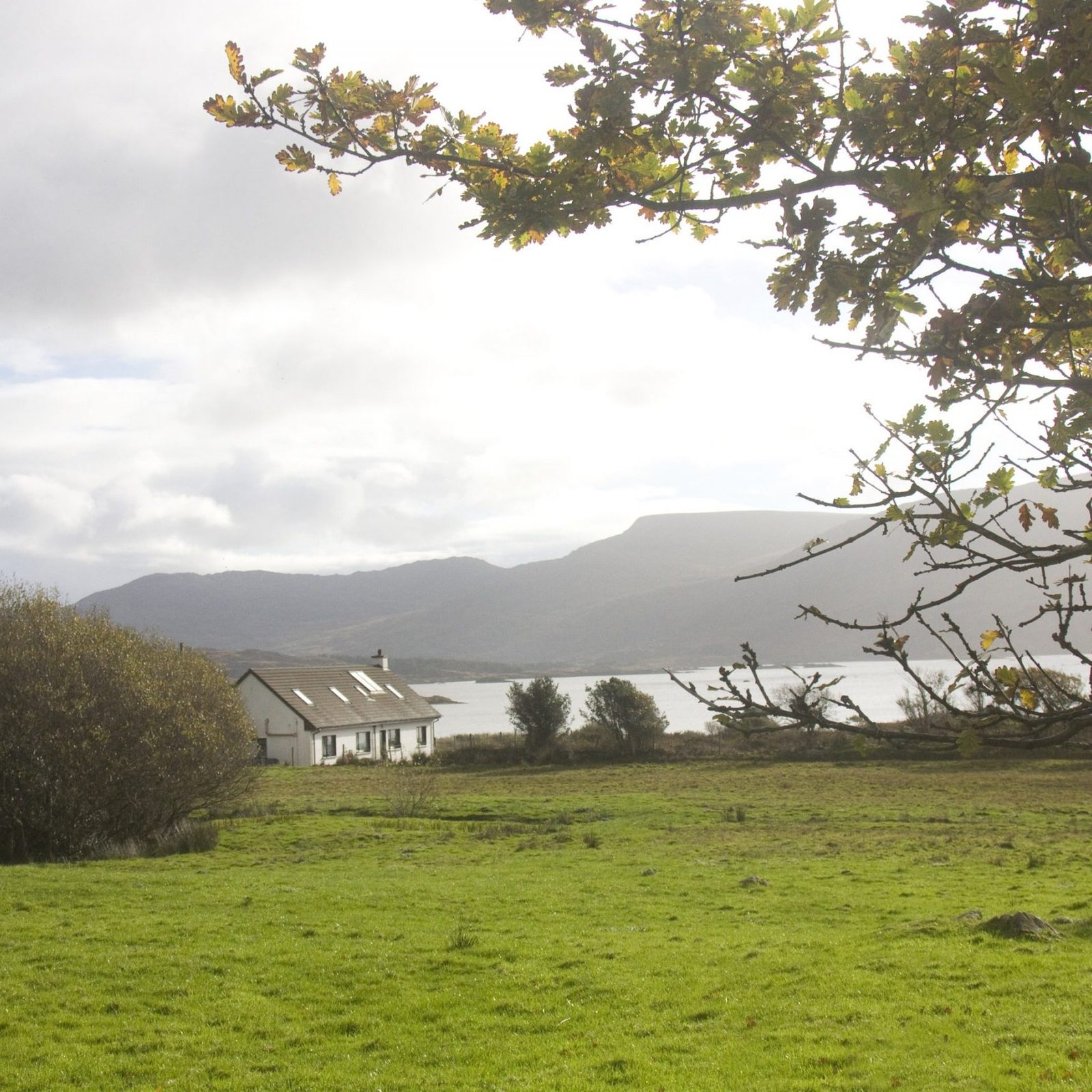 Detail of the lodge and its surroundings